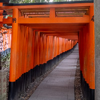 Japan 2019
