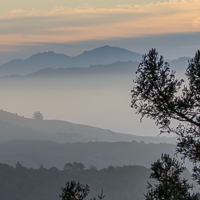 2025 Northern California